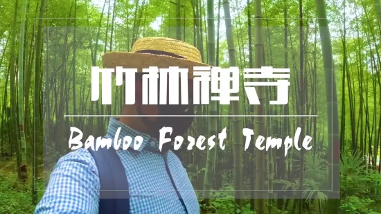 旅行VLOG 带你走入漫山遍野的楠竹林